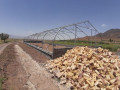 گلخانه های تونلی و اقتصادی با راندمانی بی نظیر 