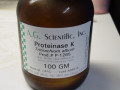 فروش ویژه پروتئیناز K و دیگر آنزیمهای سلولی در شرکت چم بیوتک