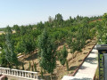 یک هتکار و 110 متر مربع باغ در کرج ( نظر آباد ) - 200 متر مربع
