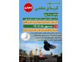 تور نجف و کربلا زمینی ویژه مهر ماه1404