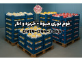 Icon for فوم توری انار | فوم توری شیشه | فوم توری پلی اتیلن 09190993466
