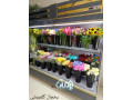 Icon for طرحهای مختلف یخچال گلفروشی 