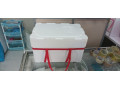 تولید کننده یخدان های یونولیتی بسته بندی ماهی و میگو - فوم یخدان حمل دارو