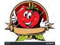 Icon for فروش و صادرات رب گوجه فرنگی 
