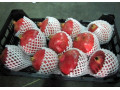 فوم توری میوه ، فوم توری انار 09197443453 - میوه خشک برای غذا
