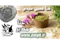Icon for حنا صادراتی مدبر و حسین سیدی 