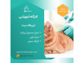 AD is: دوره آموزشی تزریقات پت گربه -سگ