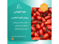 Icon for دوره آموزشی کاشت گلخانه ای گوجه گیلاسی