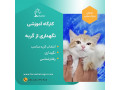 Icon for دوره تخصصی آموزش نگهداری گربه