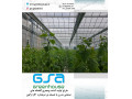 گلخانه های مدرن صنعتی GSA