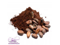 قیمت پودر کاکائو با تضمین کیفیت