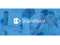 لایسنس شیرپوینت سرور- لایسنس اورجینال Sharepoint Server - شیرپوینت سرور اورجینال