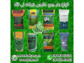 بذرچمن هلندی ، بذرچمن برموداگراس ، بذرچمن دایکوندرا 09190768462