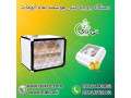 دستگاه جوجه کشی هوشمند تمام اتومات صنعتی و خانگی