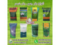 بذرچمن هلندی ، بذرچمن فضای سبز - تی تاک 09190993466