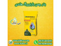 Icon for قیمت هر کیلو بذر چمن 09199762163