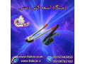 Icon for دستگاه تسمه کش دستی | تسمه کشی پالت 0919762163