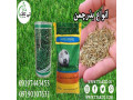 فروش انواع بذر چمن با بهترین کیفیت  09197443453