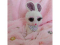 عروسک خرگوش کیوت - خرگوش لوپ مشهد