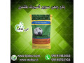 Icon for بذر چمن سوپر اسپورت هلند - 09199762163