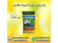  فروش بذر چمن 10 کیلویی سوپر اسپرت هلند 09199762163