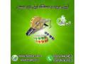 Icon for برچسب انگشتی میوه | لیبل میوه و مرکبات - 09190993466