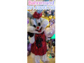 کرایه تن پوش های عروسکی فانتزی تبلیغاتی با هنرمندان عروسک گردان آقا و خانم در جشن ها خانم بهره مند عروسکساز صدا و سیما 09143093759 - سیما نوین