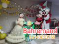 جشن افتتاحیه ها و اختتامیه با تن پوشهای عروسکی فانتزی نمایشگاهی و تبلیغاتی بهره‌مند 09143093759 
