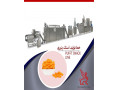 Icon for خط تولید اسنک پنیری (پفک)