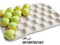 Icon for شانه مقوایی میوه ، شانه میوه بسته بندی 09199762163