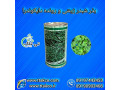 بذر چمن فوتبال ، بذر چمن سوپر اسپرت هلند 09199762163