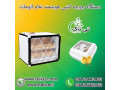 دستگاه جوجه کشی هوشمند و اتوماتیک - 09190993466