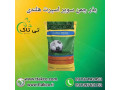 فروش بذر چمن سوپر اسپرت هلندی - 09190993466