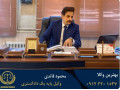 بهترین وکیل پایه یک