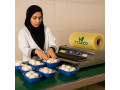 Icon for سلفون کش دستی ، سلفون کش قارچ 09190993466