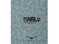 آلبوم کاغذ دیواری کارل KARL - کارل فیشر مرک آلمان آرت 109255