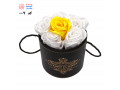Icon for باکس گل چرمی مشکی با گل ساتنی سفید و زرد - کد 007