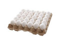 فروش تخم مرغ مسقیم از مرغ داری  - داری سیستم خشک کننده