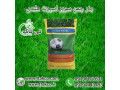 Icon for بذر چمن سوپر اسپرت ( هلندی ) 09190993466