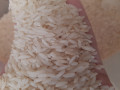 برنج طارم هاشمی اصل - طارم محلی