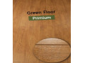 پارکت لمینت گرین فلور پریمیوم GREEN FLOOR PREMIUM - PREMIUM PLC