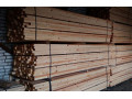 Icon for فروش چوب راش، سفارش چوب راش گرجی