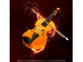 Icon for آموزش ساز های موسیقی :ویولون ، گیتار ، فرود و سنتور