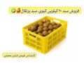 Icon for فروش سبد 20 کیلویی کیوی ، سبد پرتقال