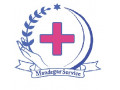 Icon for شرکت خدمات مهرماندگار
