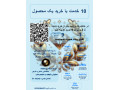 AD is: یدونه بخر ده تا ببر