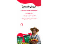 انواع کود گرانوله