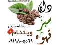 Icon for دان سبز قهوه ویتنام 09198005569