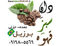 Icon for دان سبز قهوه برزیل 09198005569