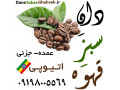 Icon for دان سبز قهوه اتیوپی 09198005569